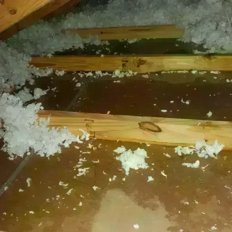 Attic Water Damage in Mantua, OH