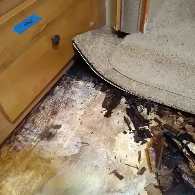 Best Wood Floor Water Damage Service in Mantua, OH